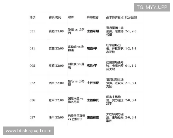 德甲球队比赛气氛分析报告及球迷支持度调查