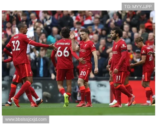 英超“海豚”足球队的真实身份及俱乐部故事